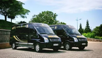 [2026] Vé Xe Hoa Mai Vũng Tàu - Sân bay Tân Sơn Nhất        