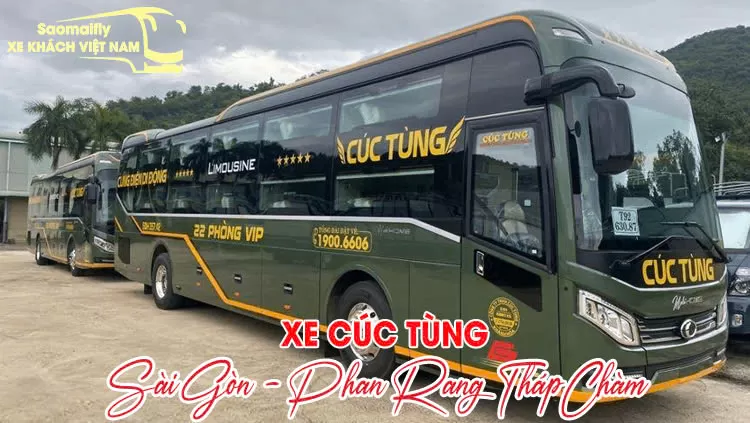 Xe Cúc Tùng